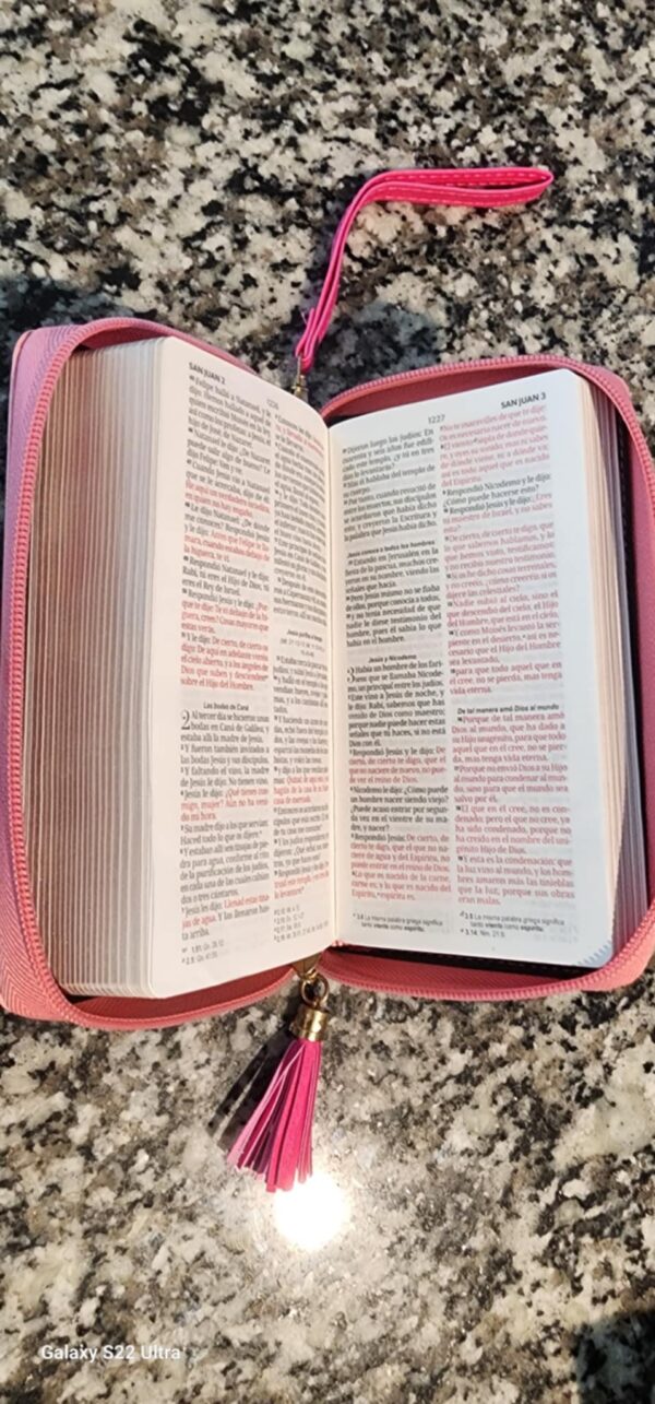 Biblia Chequera RV1960 - Imagen 2