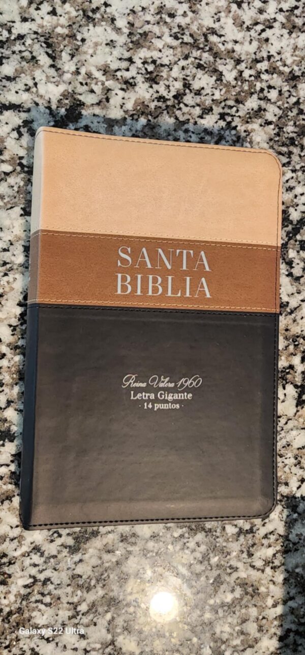 Biblia RV 1960 14 PUNTOS